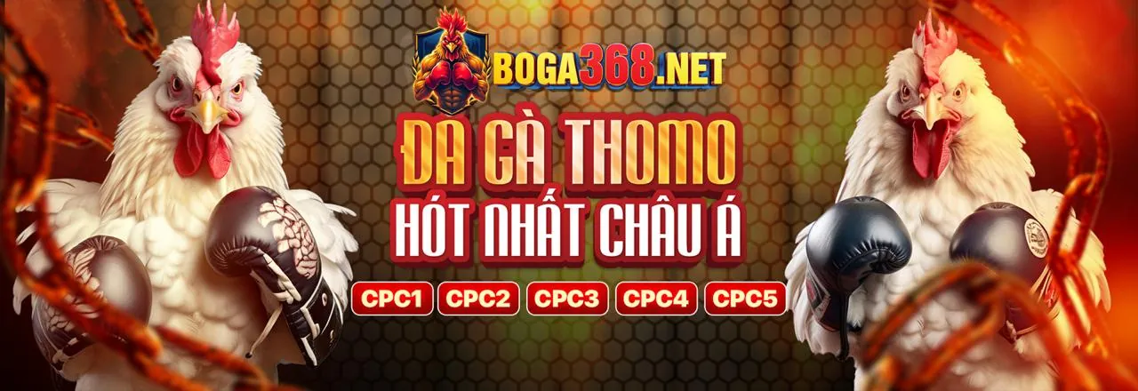 Hình ảnh bảo mật cá cược trực tuyến tại shbet5 link vào